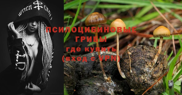 каннабис Алзамай