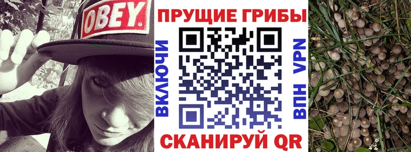 Галлюциногенные грибы мицелий купить наркоту Балашов